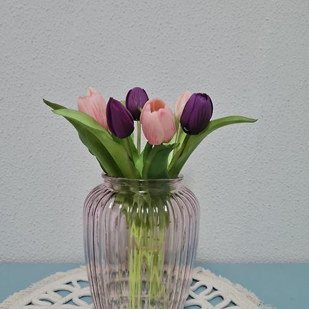 Casa Vacanza Il Tulipano Nichelino Bagian luar foto